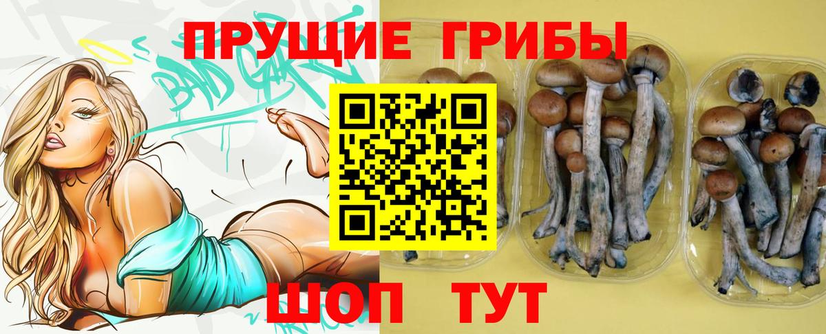 Псилоцибиновые грибы Magic Shrooms Дербент